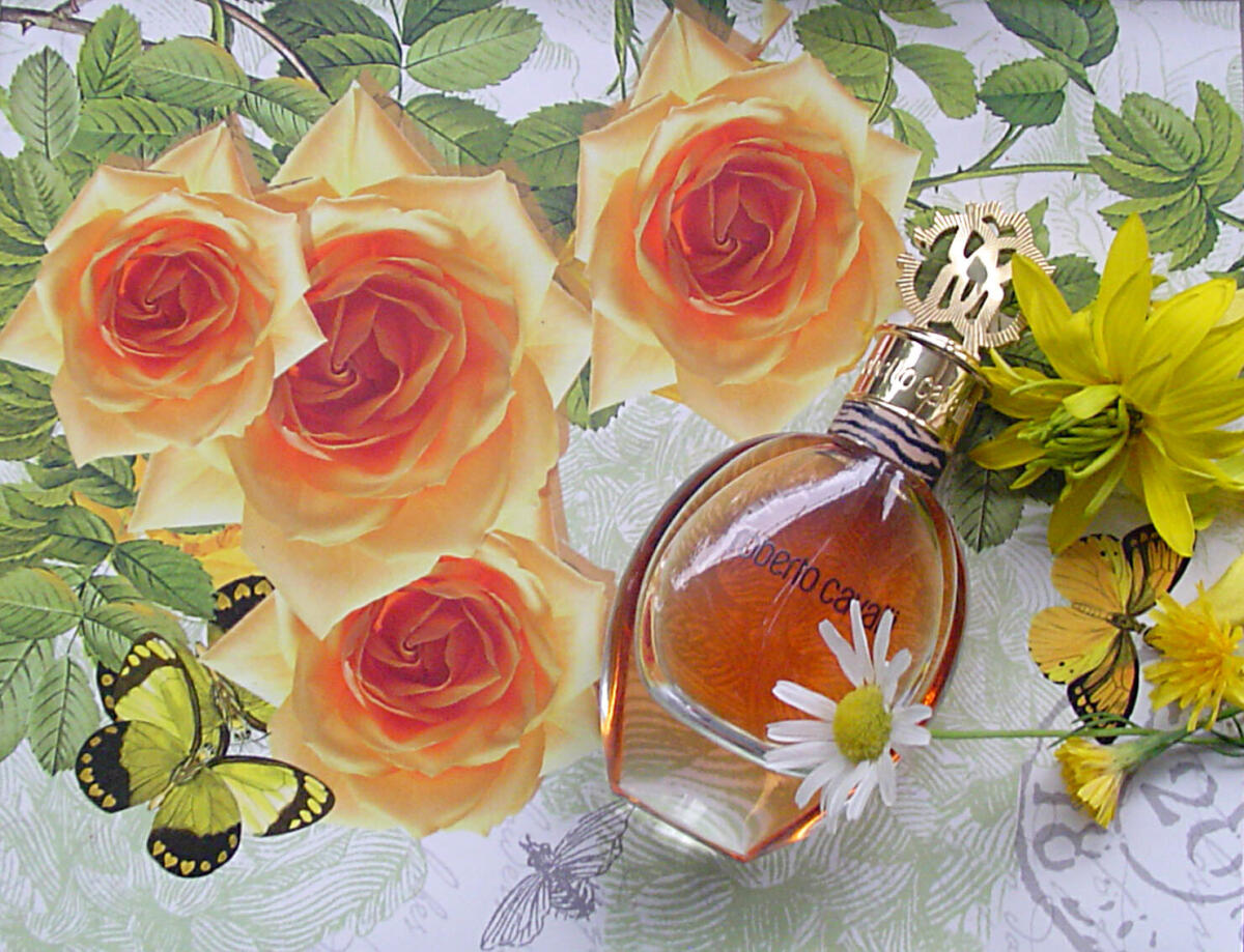 عطر ادکلن روبرتو کاوالی ادو پرفیوم روبرتو کاوالی - Roberto Cavalli Eau de Parfum Roberto Cavalli - بررسی، قیمت و خرید