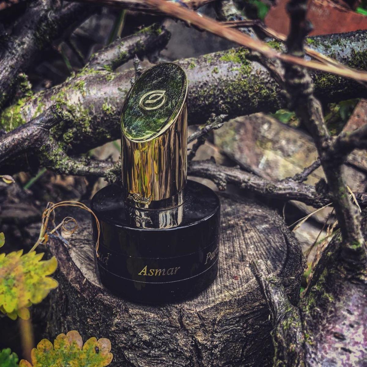 عطر ادکلن آسمار سوعود - Asmar SoOud - بررسی، قیمت و خرید