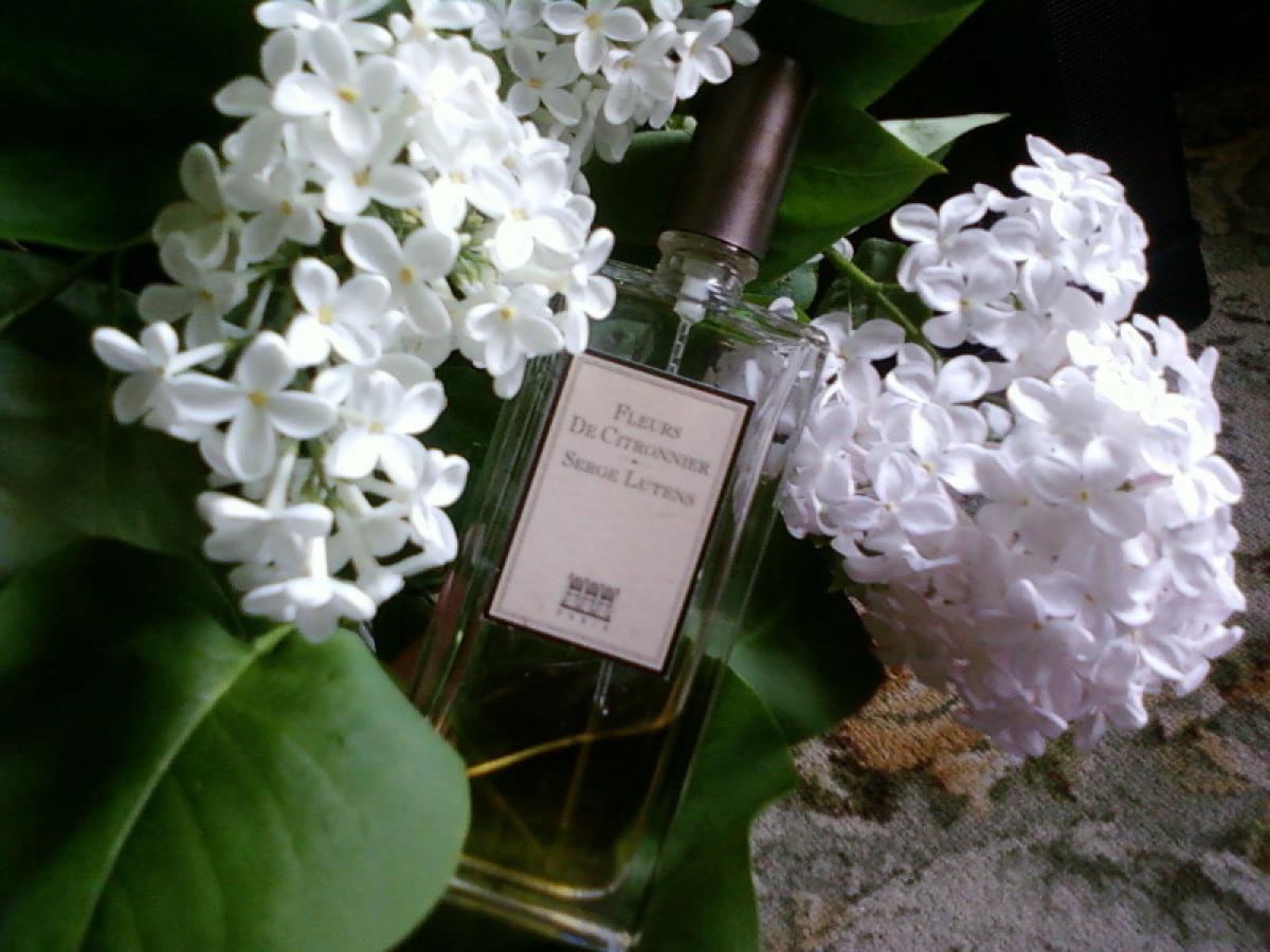 عطر ادکلن فلور د سیتورنیه سرژ لوتنز - Fleurs de Citronnier Serge Lutens - بررسی، قیمت و خرید