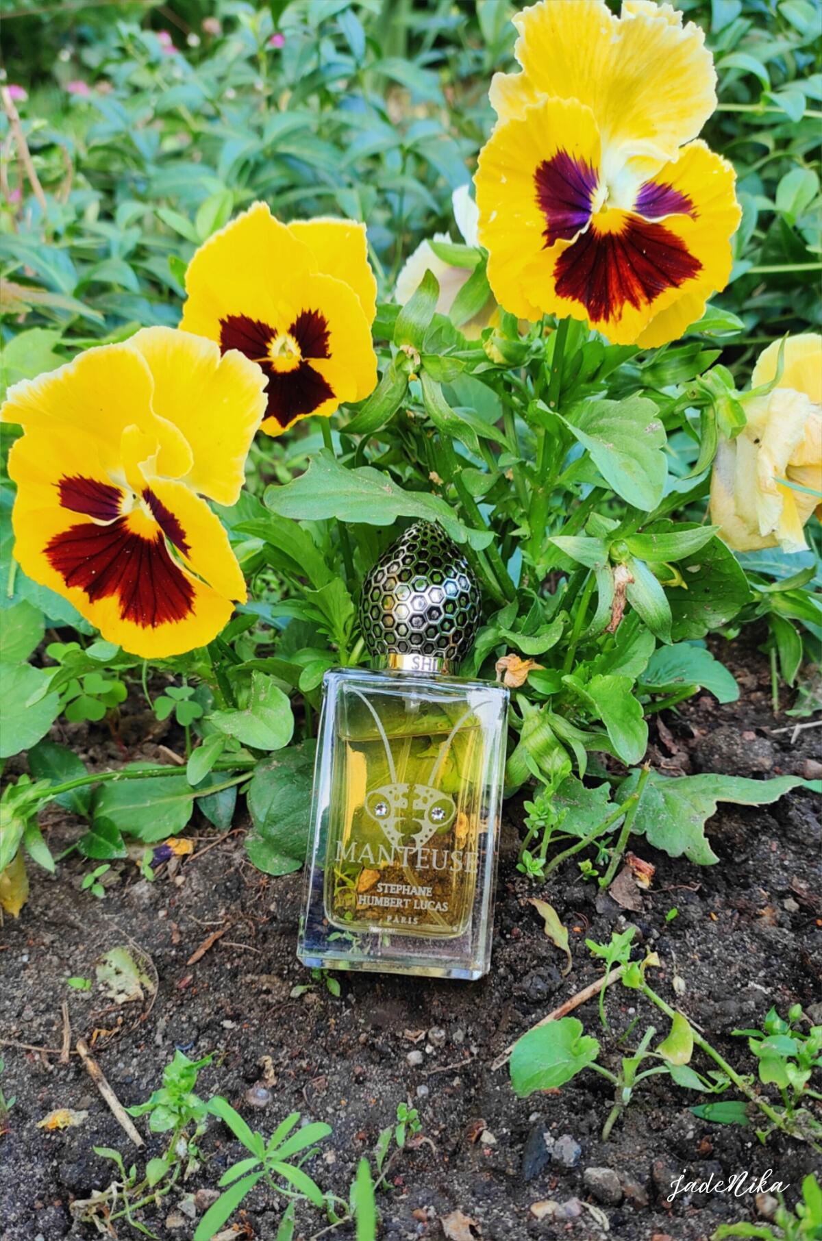 عطر ادکلن منتوز استفان هامبرت لوکاس ۷۷۷ - Manteuse Stéphane Humbert Lucas 777 - بررسی، قیمت و خرید