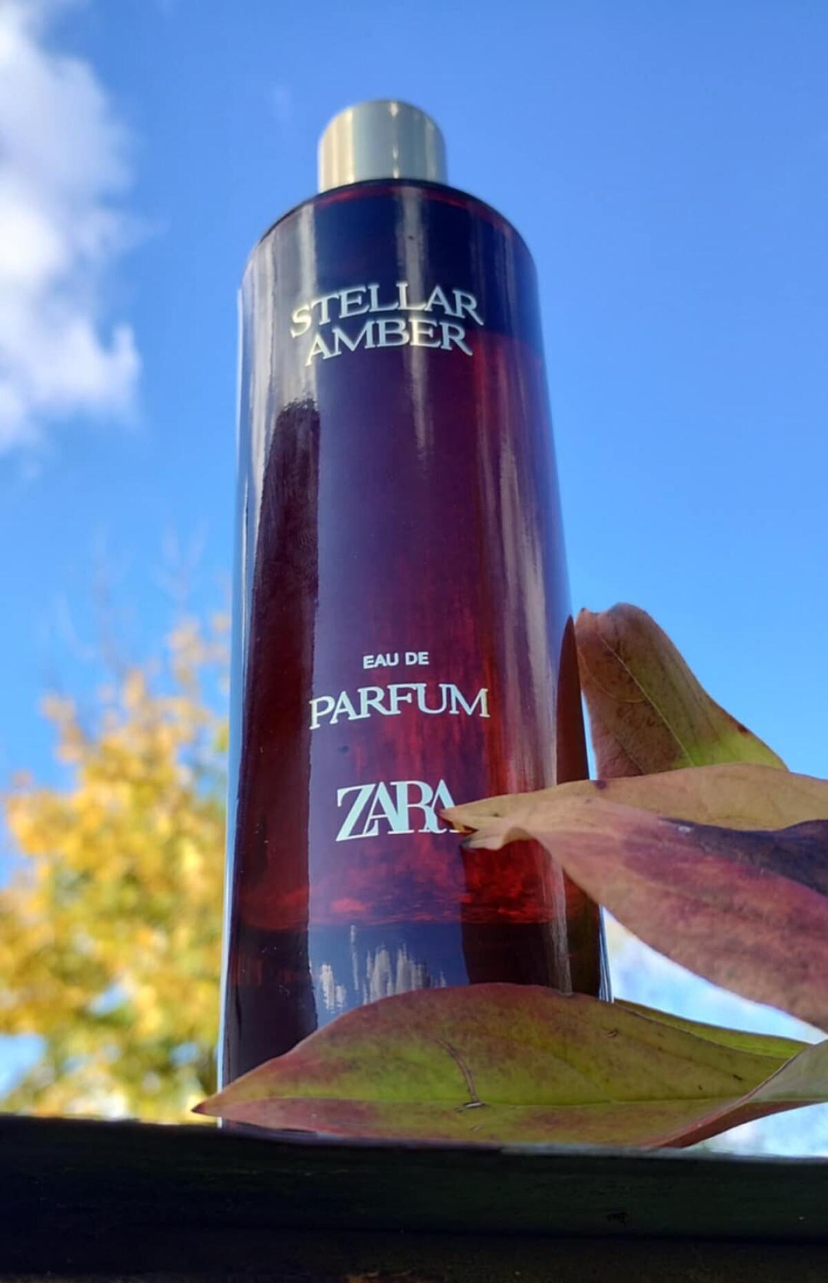 عطر ادکلن استلار امبر زارا - Stellar Amber Zara - بررسی، قیمت و خرید