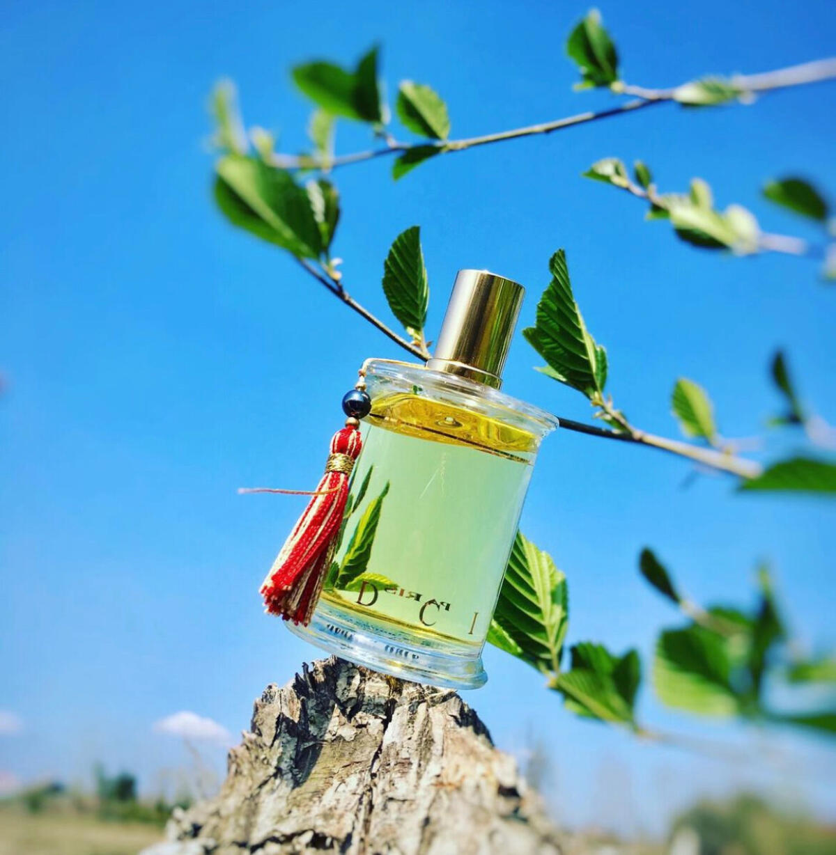 عطر ادکلن اَنوِیجِن باربار ام دی سی آی پَرفیومز - Invasion Barbare MDCI Parfums - بررسی، قیمت و خرید