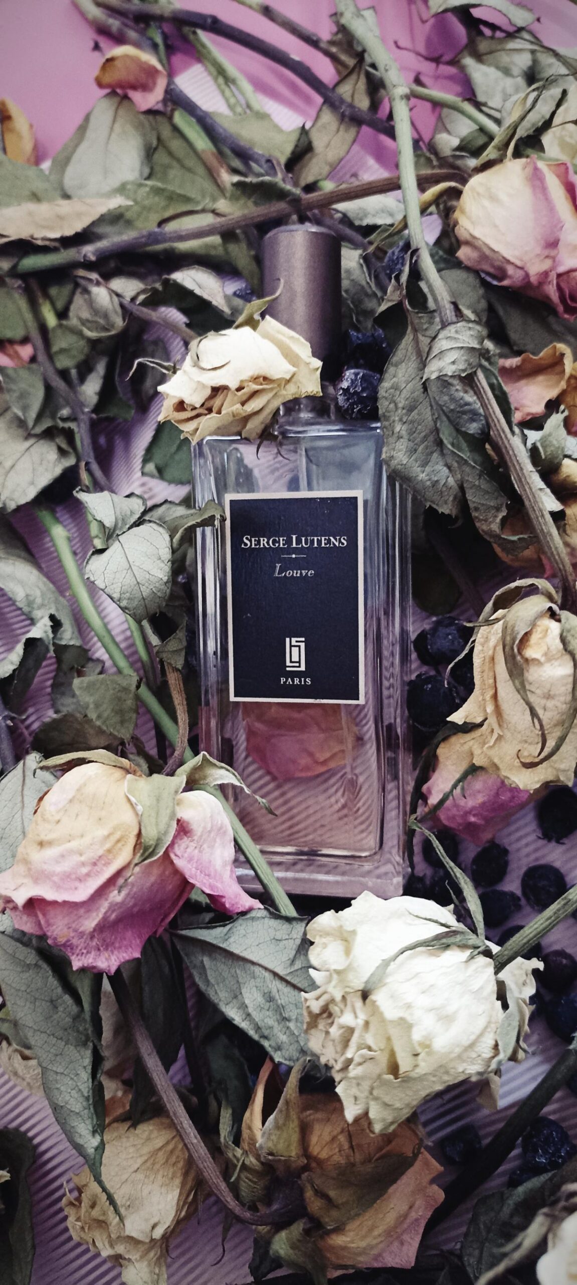 عطر ادکلن لوو سرج لوتنس - Louve Serge Lutens - بررسی، قیمت و خرید
