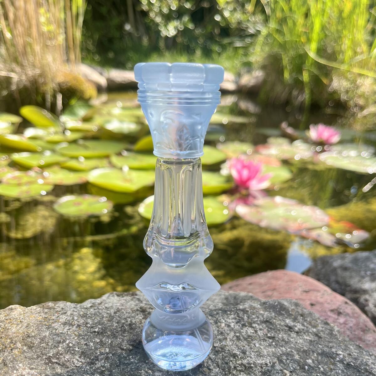 عطر ادکلن دالیلایت سالوادور دالی - Dalilight Salvador Dali - بررسی، قیمت و خرید