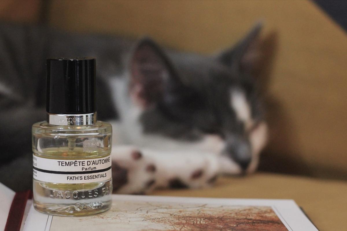 عطر ادکلن تمپت دوتون ژاک فات - Tempête d’Automne Jacques Fath - بررسی، قیمت و خرید