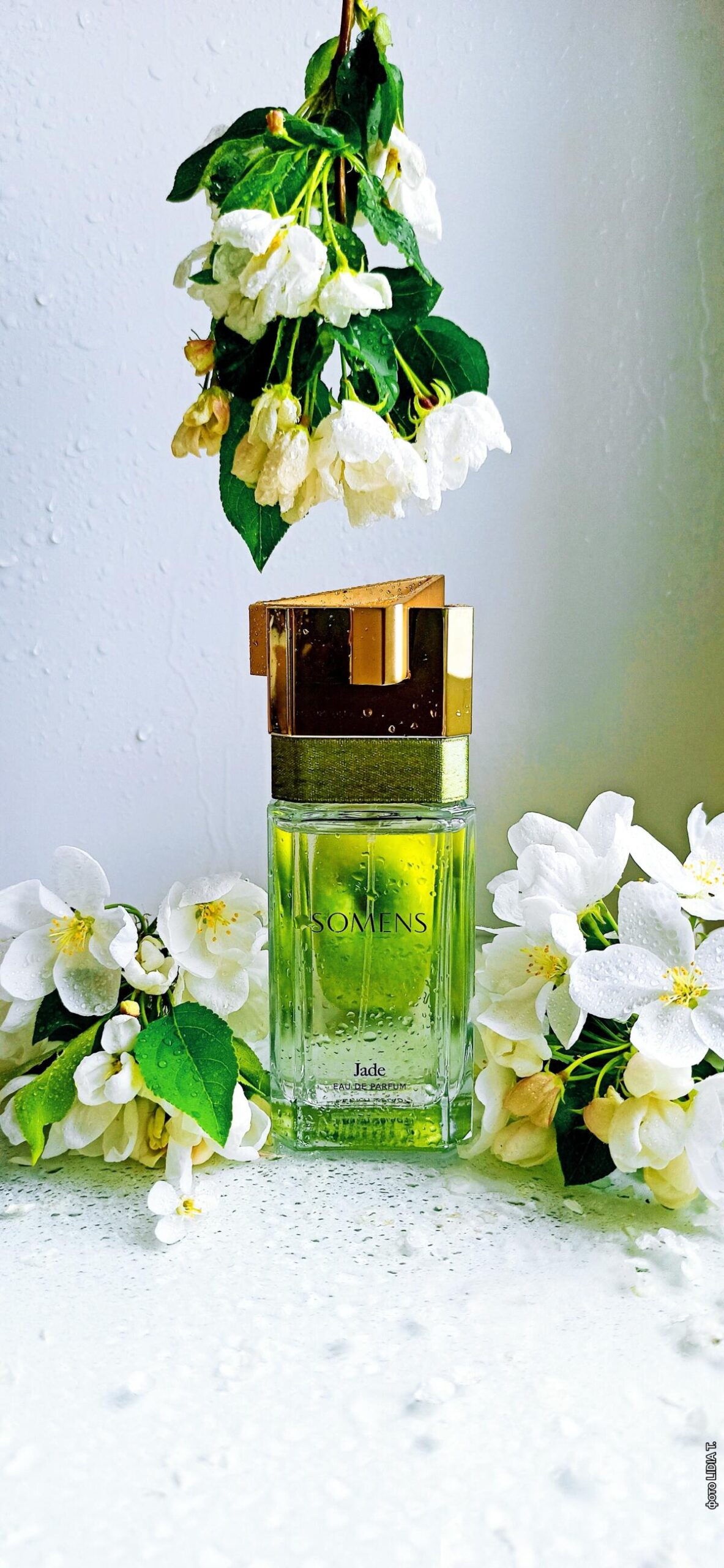 عطر ادکلن جید سامنز - Jade Somens - بررسی، قیمت و خرید