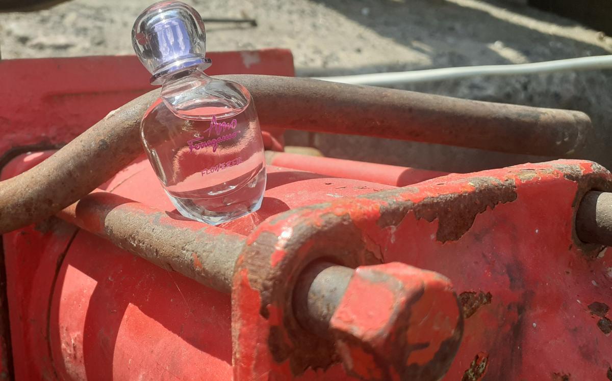 عطر ادکلن آمو فرگامو فلاورفول سالواتوره فراگامو - Amo Ferragamo Flowerful Salvatore Ferragamo - بررسی، قیمت و خرید