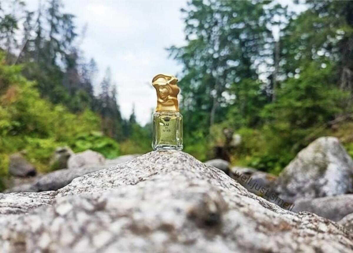 عطر ادکلن اُ دو سُر سیسلی - Eau du Soir Sisley - بررسی، قیمت و خرید