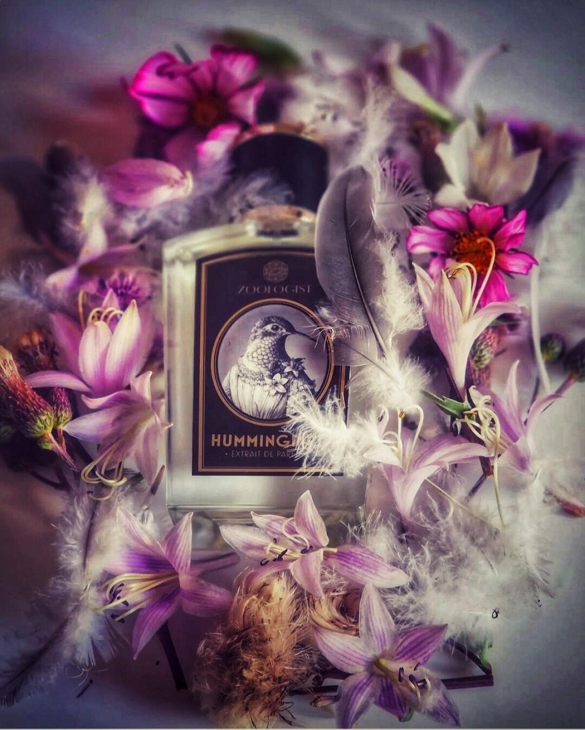 عطر ادکلن هامینگبرد زوالاجیست پرفیومز - Hummingbird Zoologist Perfumes - بررسی، قیمت و خرید