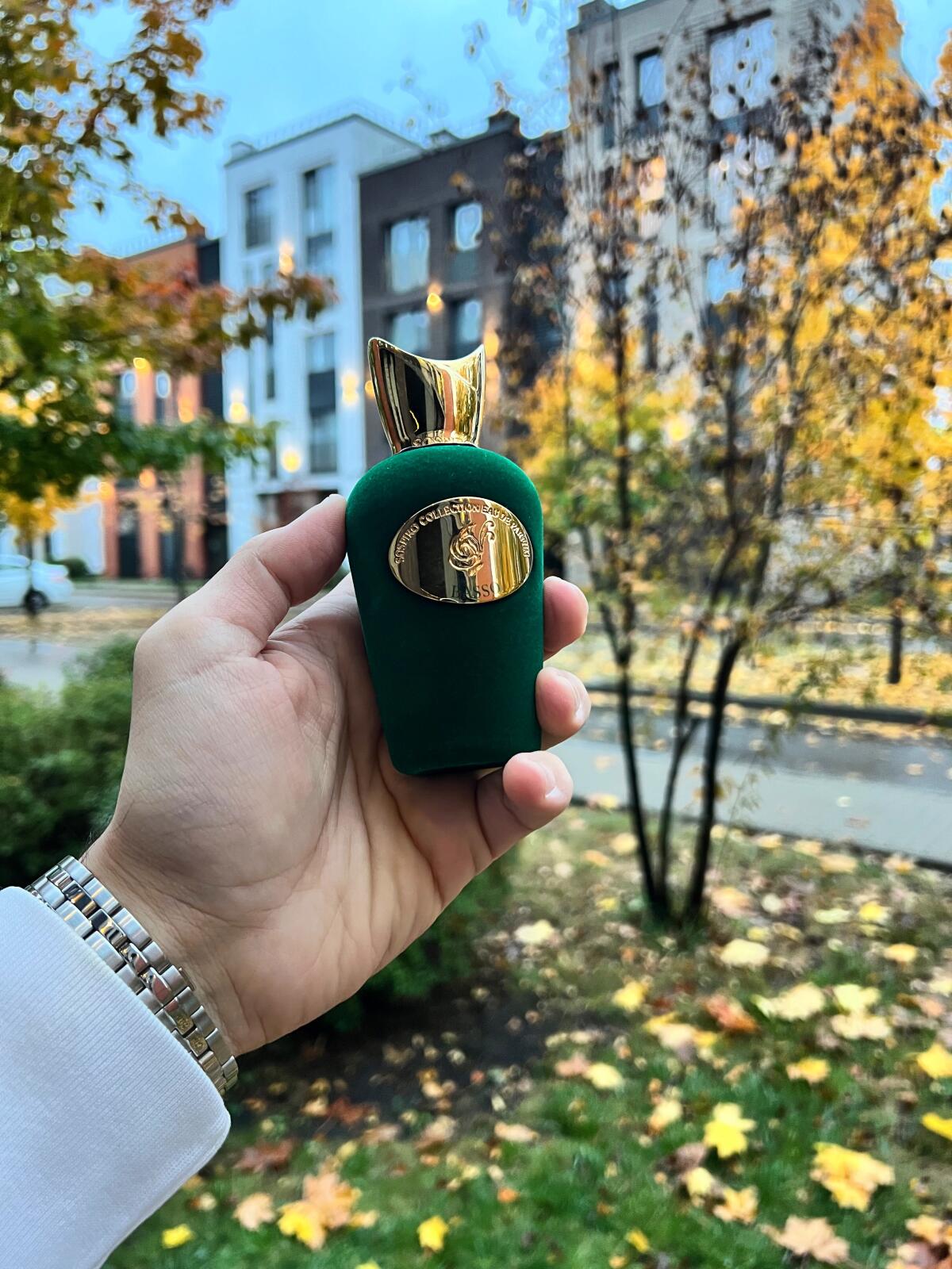 عطر ادکلن باسو سو سپیرو پرفیومز - Basso Sospiro Perfumes - بررسی، قیمت و خرید