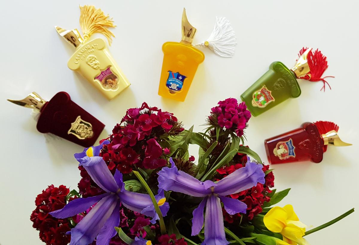 عطر ادکلن کورالو زرژوف - Corallo Xerjoff - بررسی، قیمت و خرید