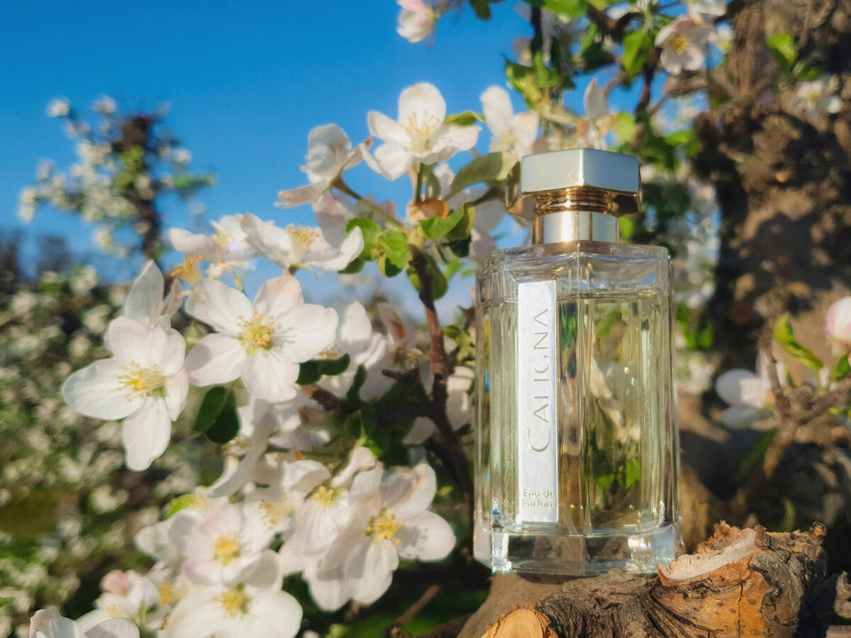 عطر ادکلن کالینا لارتیزان پرفیومر - Caligna L'Artisan Parfumeur - بررسی، قیمت و خرید