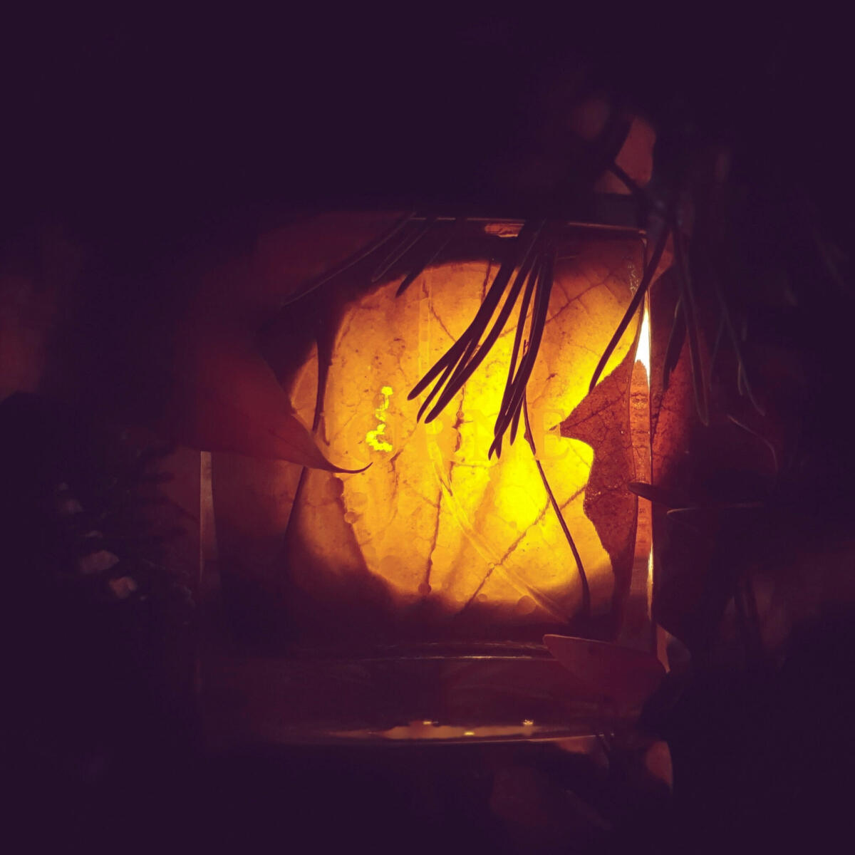 عطر ادکلن نورنه اسلمبرهاوس - Norne Slumberhouse - بررسی، قیمت و خرید