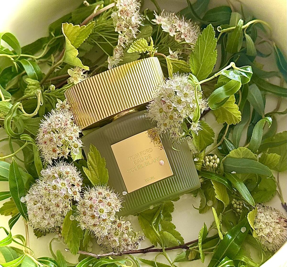 عطر ادکلن اُ دو سوله بلانک ۲۰۲۵ تام فورد - Eau de Soleil Blanc 2025 Tom Ford - بررسی، قیمت و خرید