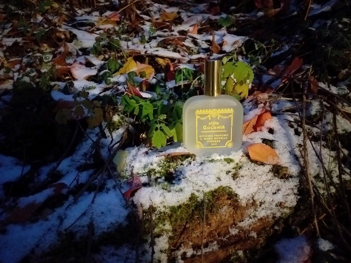 عطر ادکلن موشکیو سانتا ماریا نوولا - Muschio (Musc) Santa Maria Novella - بررسی، قیمت و خرید