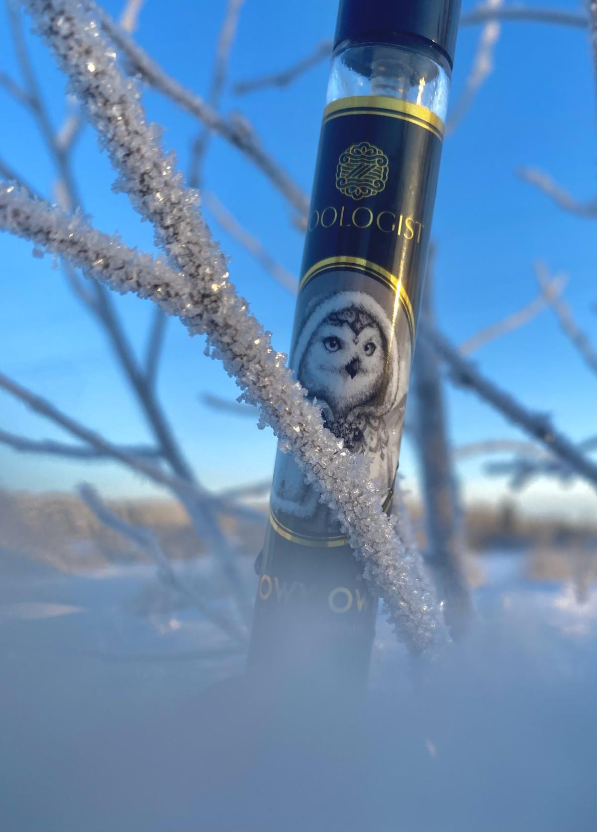 عطر ادکلن اسنوی اوwl زئولوجیست پرفیومز - Snowy Owl Zoologist Perfumes - بررسی، قیمت و خرید