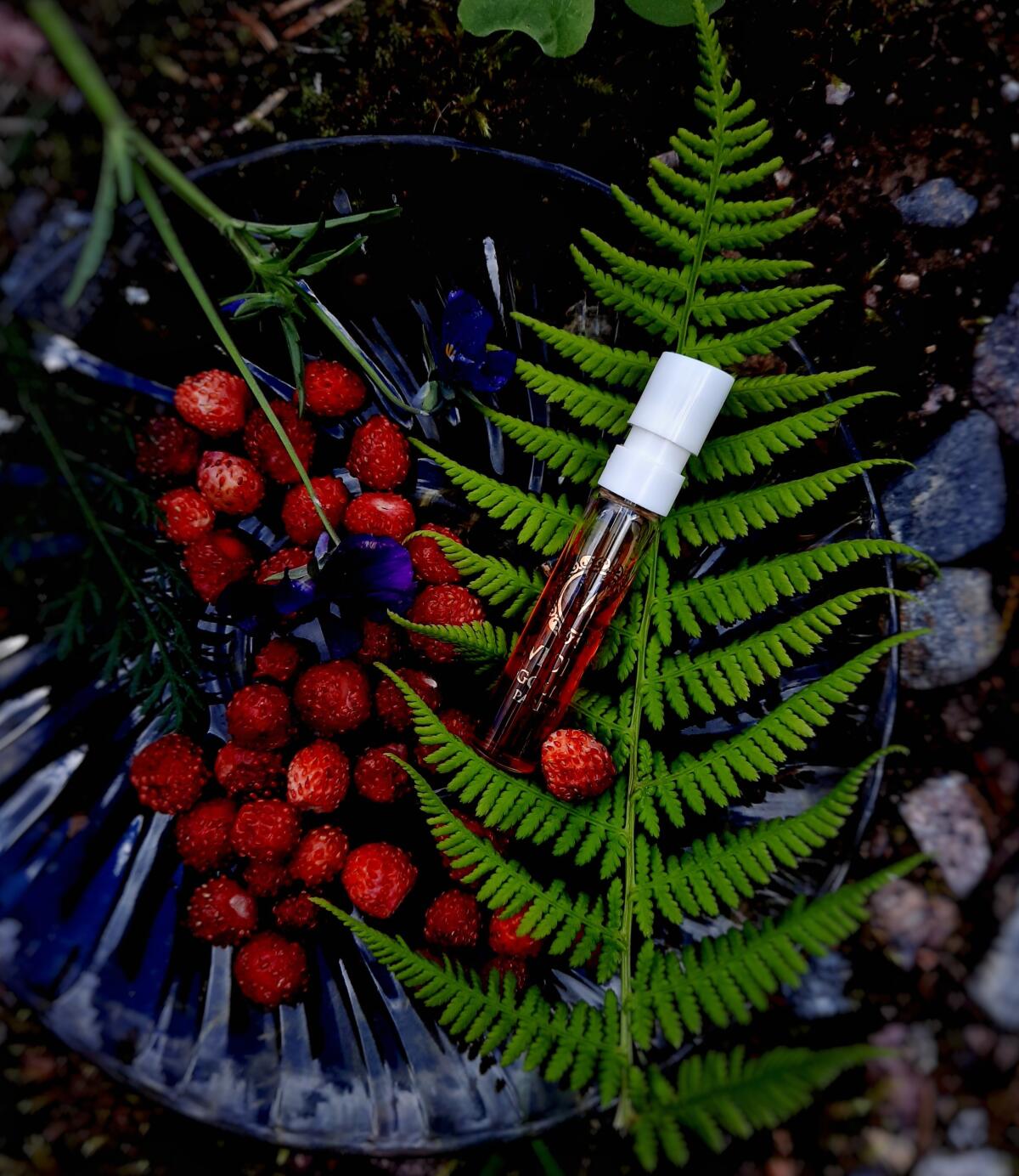 عطر ادکلن گلد تو ویدیَن - Gold II WIDIAN - بررسی، قیمت و خرید
