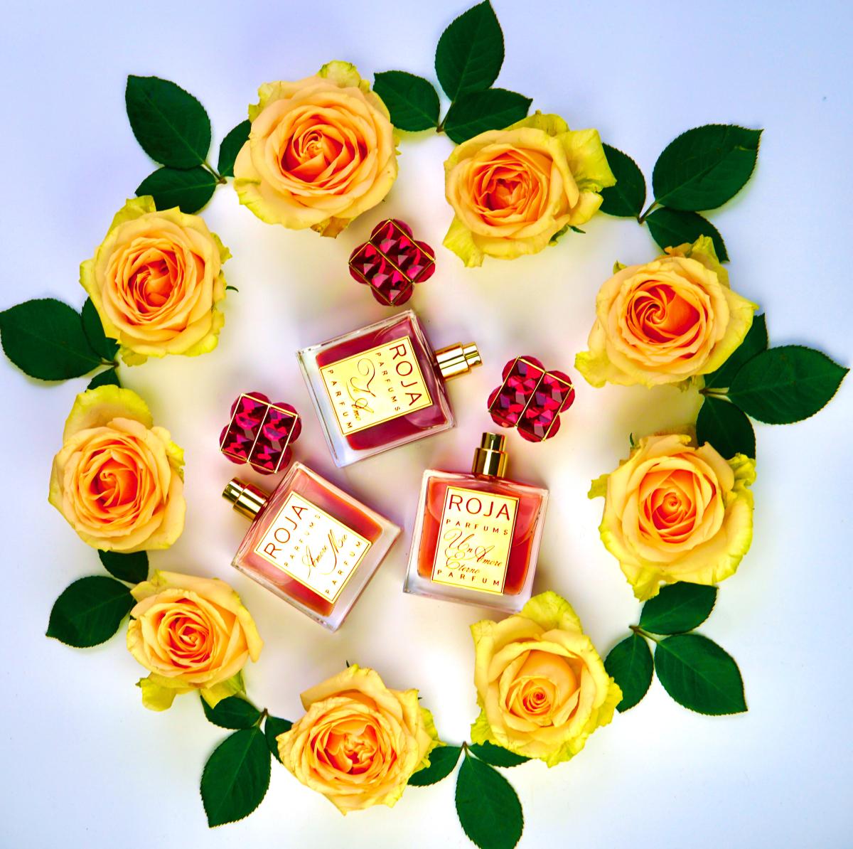 عطر ادکلن اموره میو روجا داو - Amore Mio Roja Dove - بررسی، قیمت و خرید