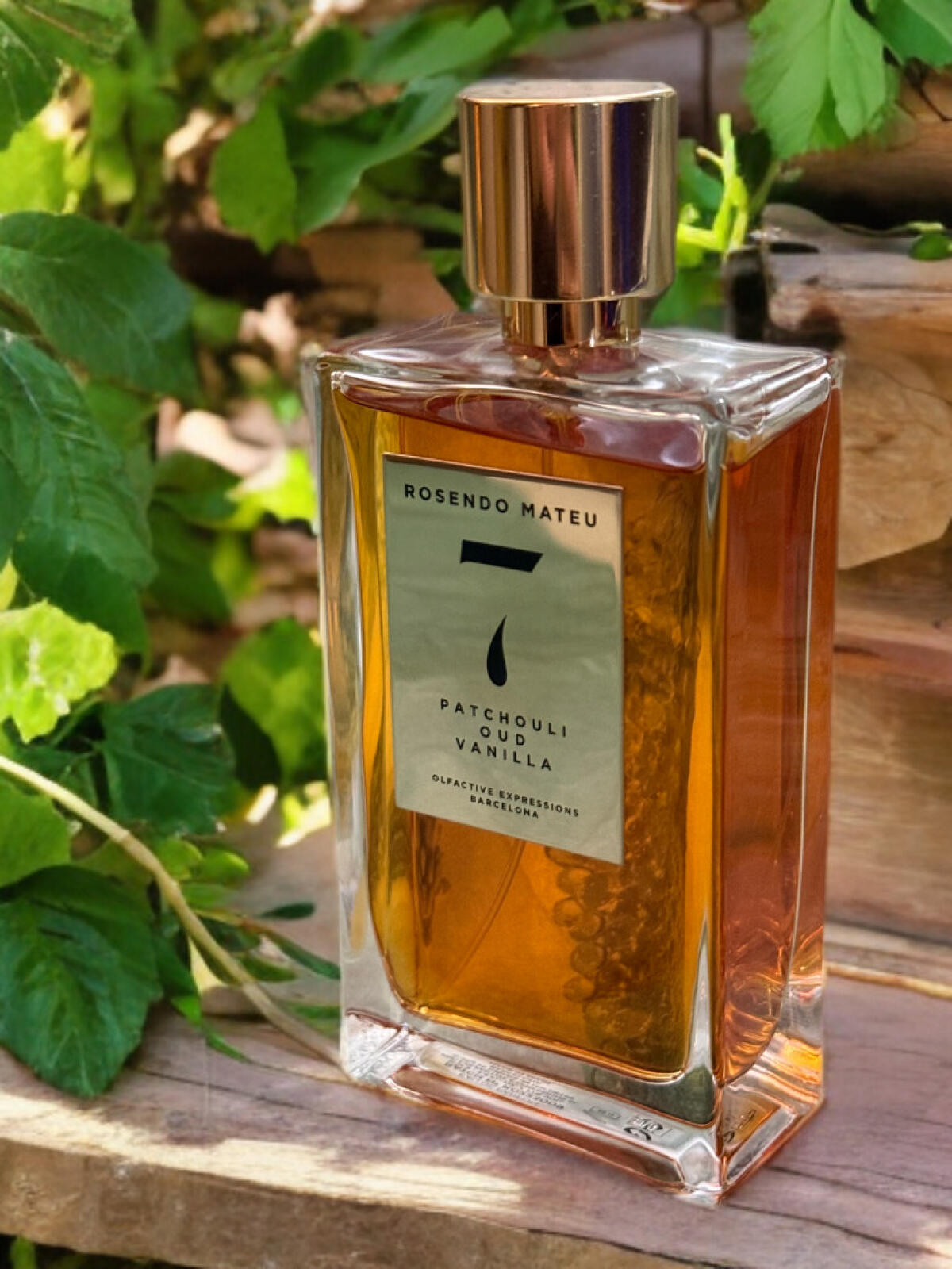 عطر ادکلن رزندو ماتیو شماره ۷ پچولی، عود، وانیلا روزندو ماتئو الفکتیو اکسپرشنز - Rosendo Mateu Nº 7 Patchouli, Oud, Vanilla Rosendo Mateu Olfactive Expressions - بررسی، قیمت و خرید