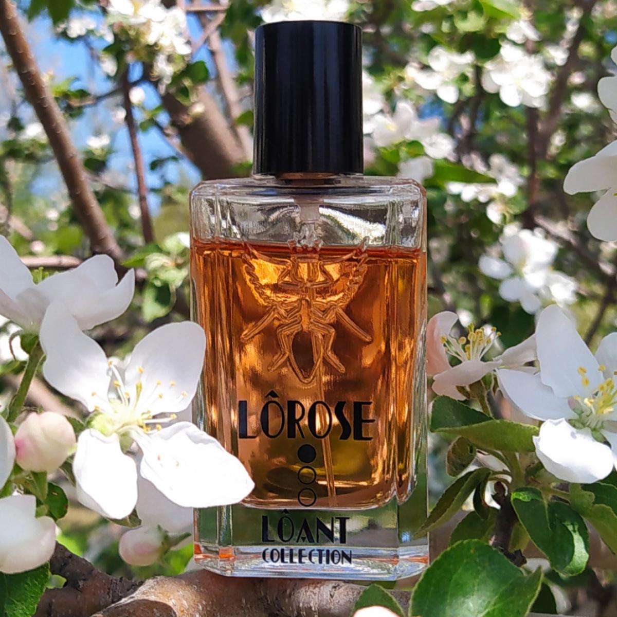 عطر ادکلن لوروس سانتی بورگاس - LOROSE Santi Burgas - بررسی، قیمت و خرید