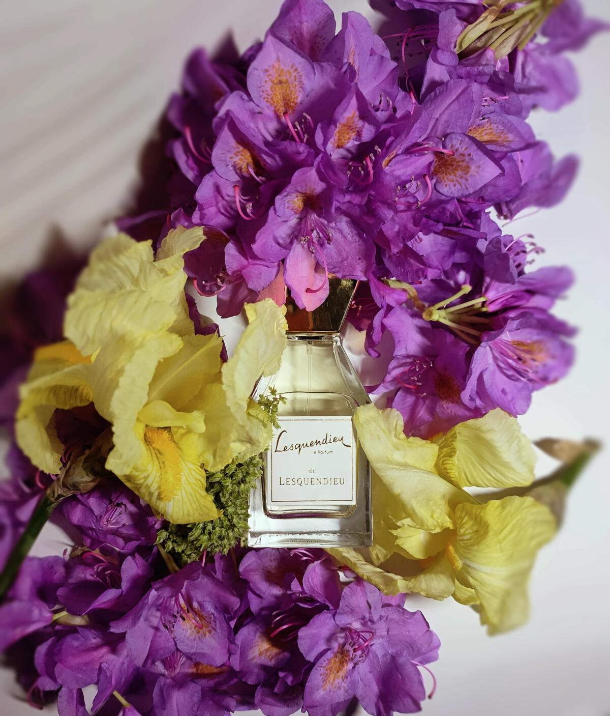 عطر ادکلن عودمار منسفیلد - Oudamar Mansfield - بررسی، قیمت و خرید