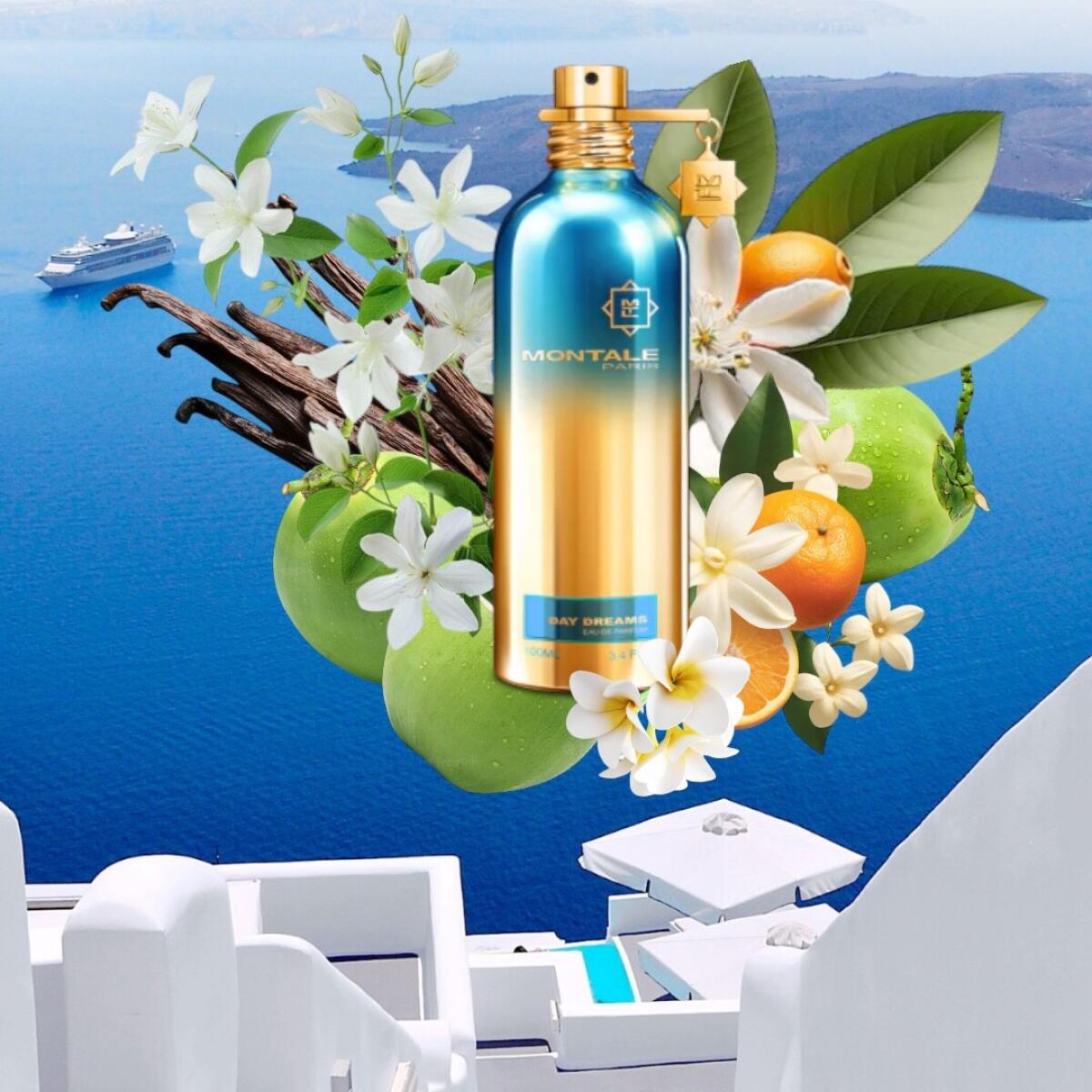 عطر ادکلن دی دریمز مونتال - Day Dreams Montale - بررسی، قیمت و خرید