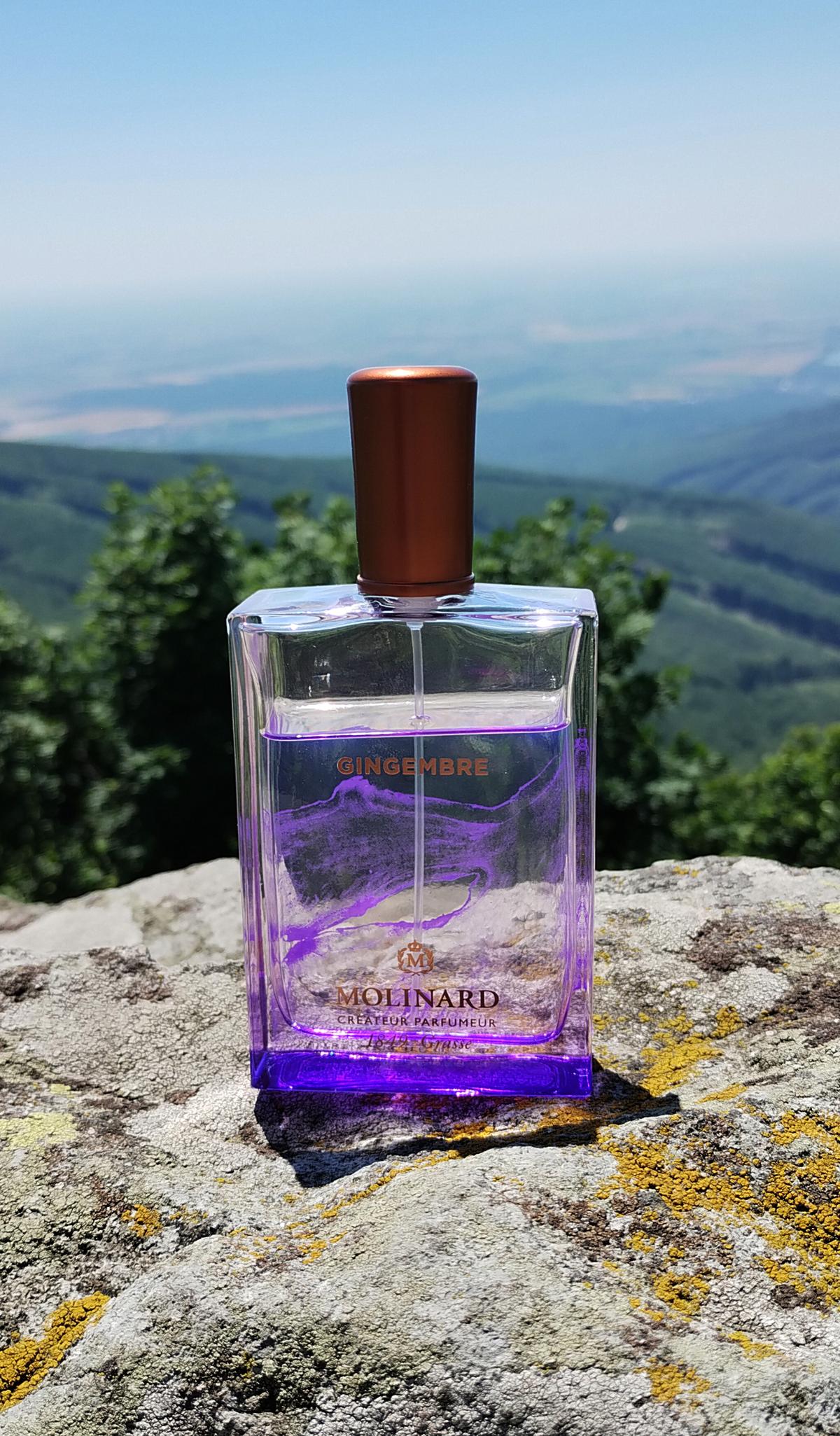 عطر ادکلن ژینژامبر مولینارد - Gingembre Molinard - بررسی، قیمت و خرید