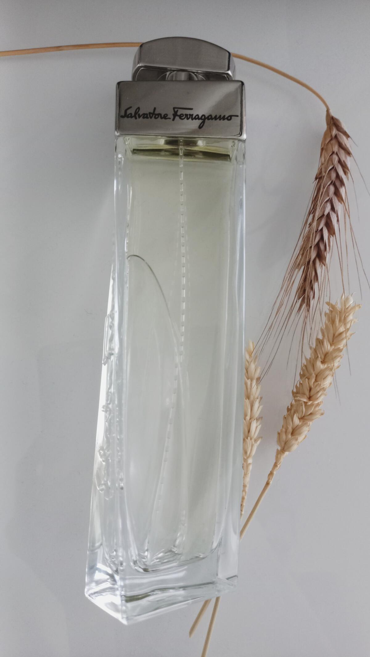 عطر ادکلن سالواتوره فراگامو پور فم سالواتوره فراگامو - Salvatore Ferragamo pour Femme Salvatore Ferragamo - بررسی، قیمت و خرید