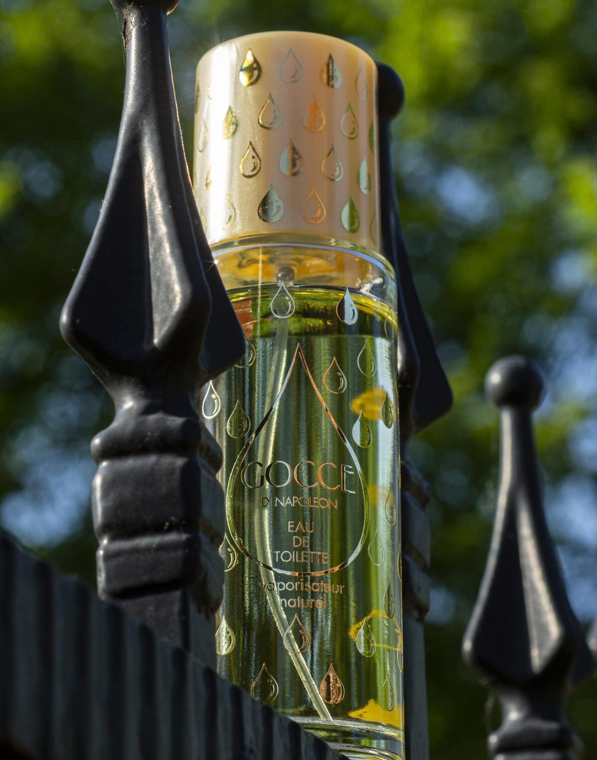 عطر ادکلن گوچه دی ناپلئون موریس - Gocce di Napoleon Morris - بررسی، قیمت و خرید