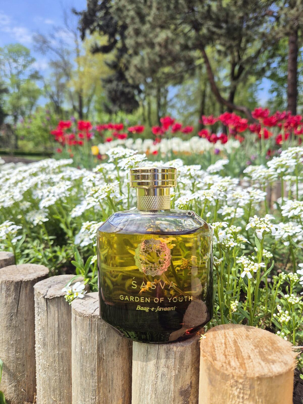 عطر ادکلن باغ جوانی ساسوا - Garden Of Youth Baag-e-Javaani Sasva - بررسی، قیمت و خرید