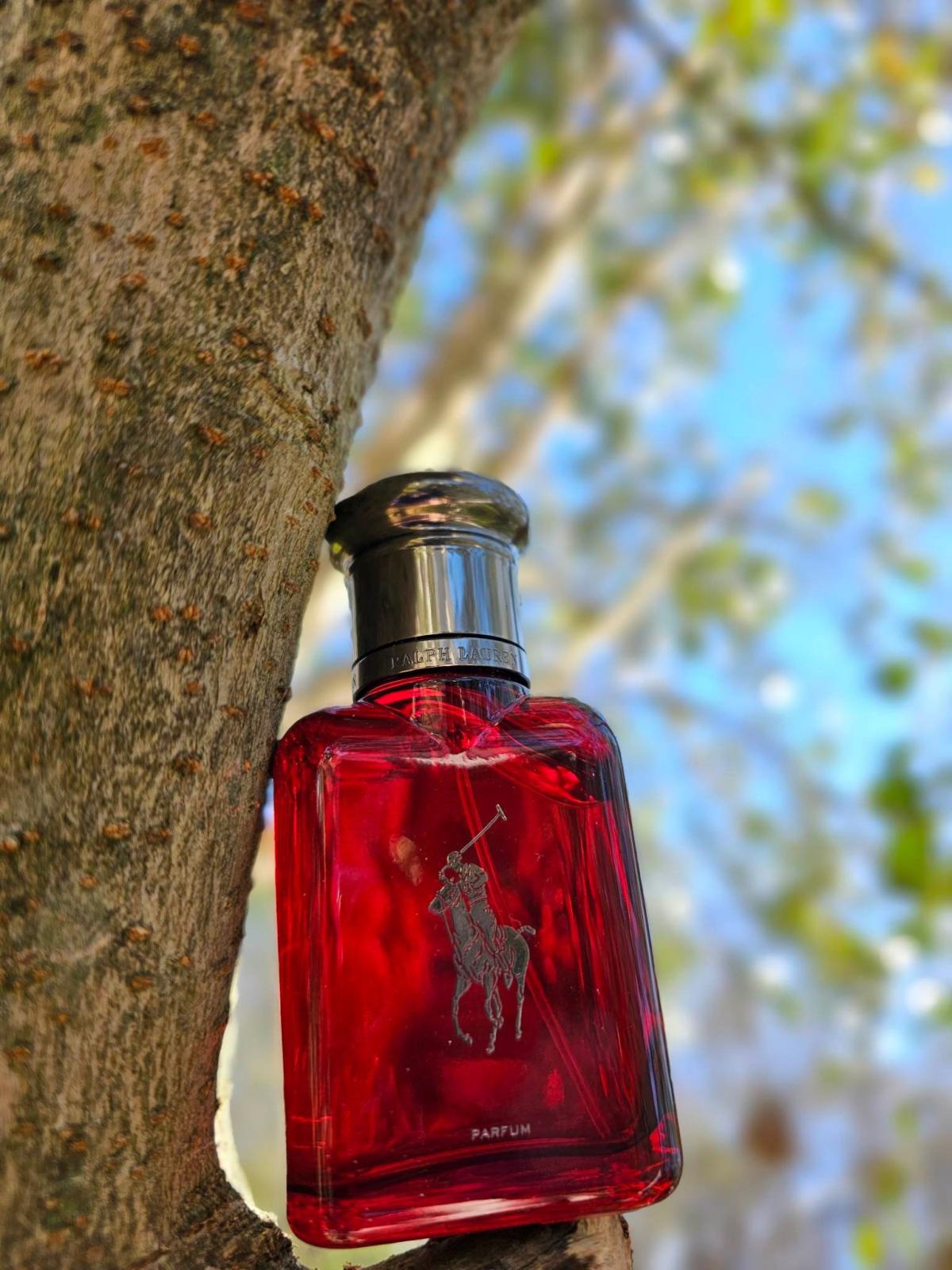 عطر ادکلن پولو رد پارفوم رالف لورن - Polo Red Parfum Ralph Lauren - بررسی، قیمت و خرید