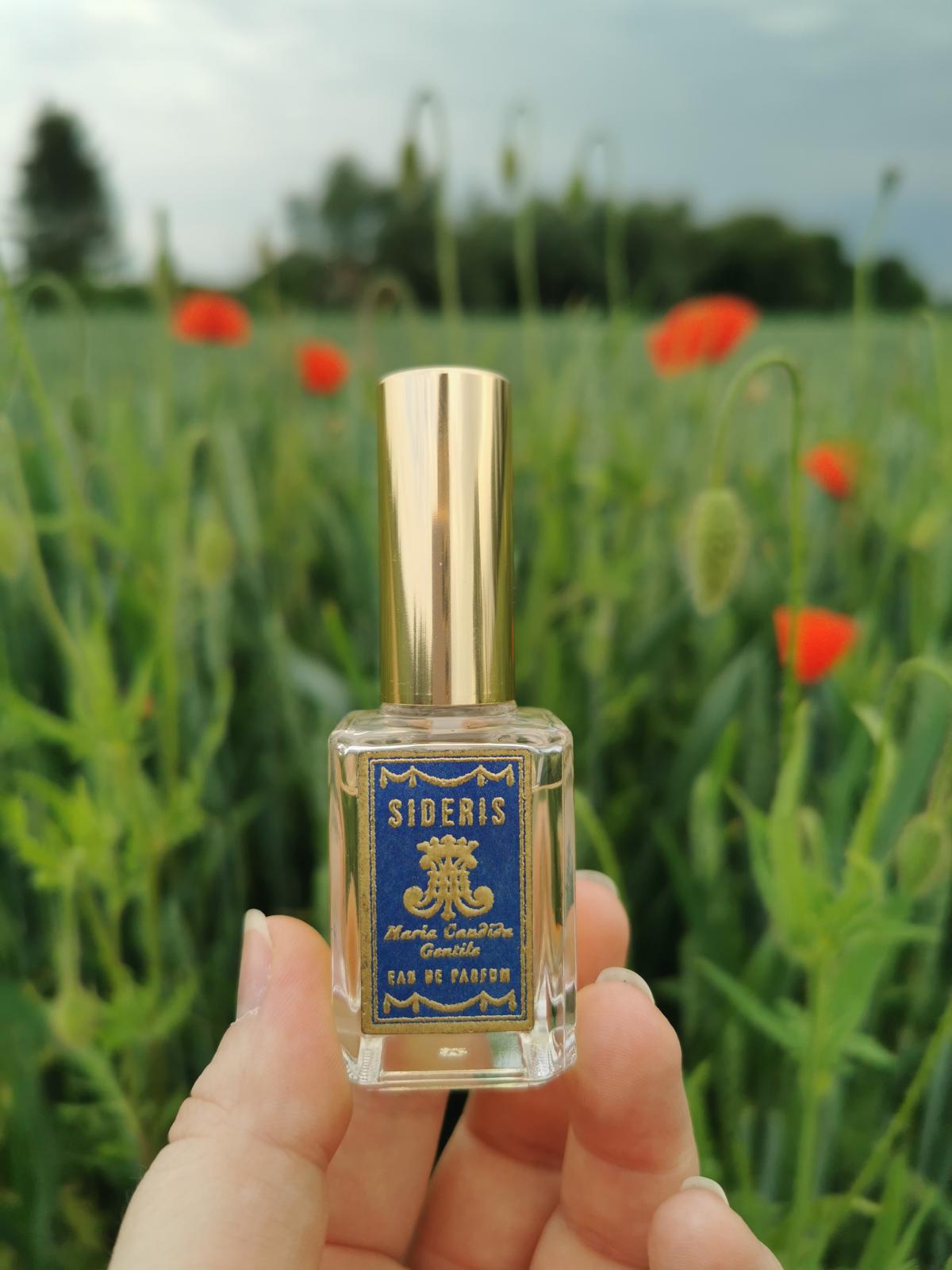 عطر ادکلن سیدریس ماریا کاندیدا جنتیله - Sideris Maria Candida Gentile - بررسی، قیمت و خرید