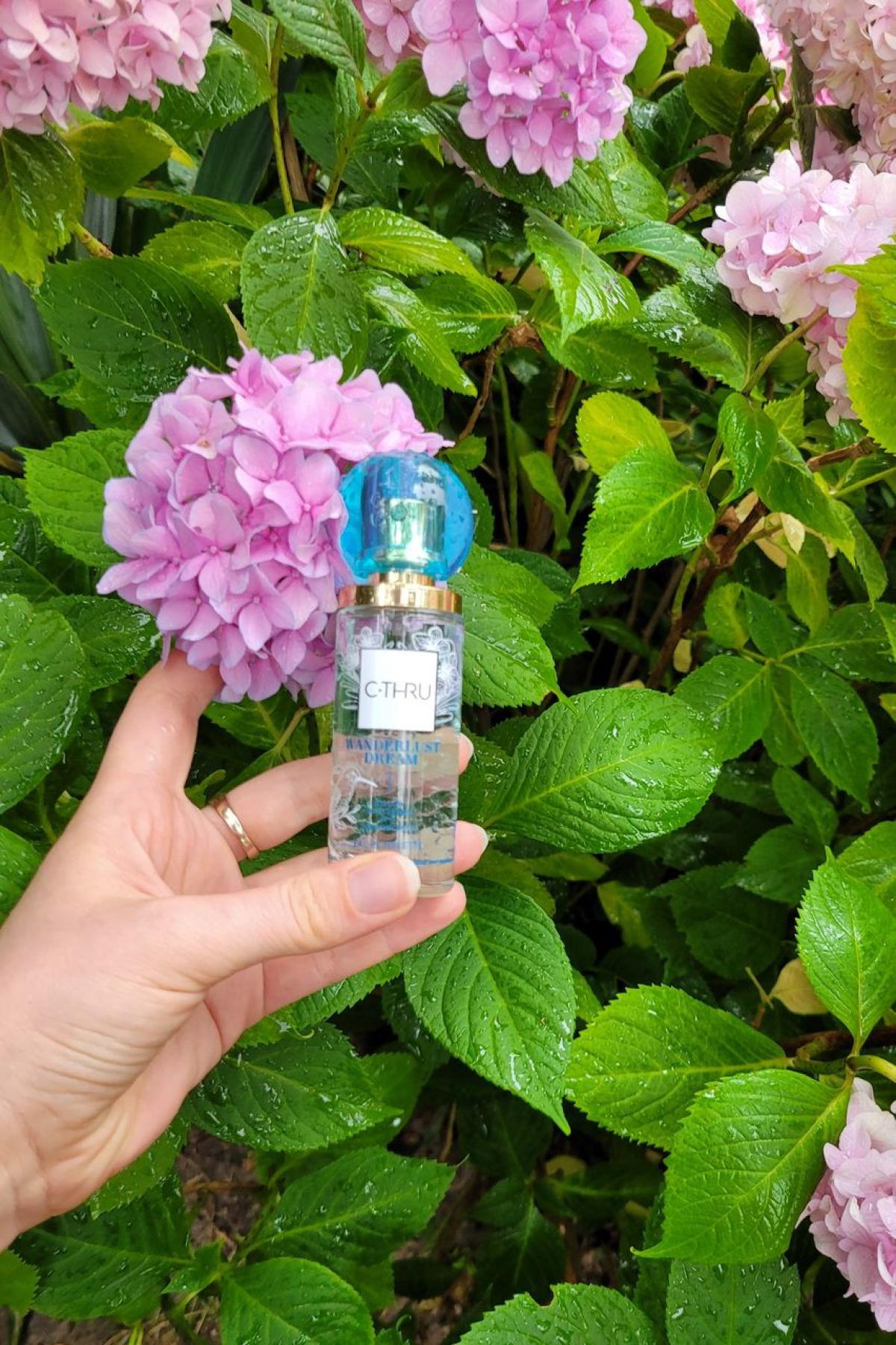 عطر ادکلن سی-ثرو واندرلاست دریم سارانتیس - C-thru Wanderlust Dream Sarantis - بررسی، قیمت و خرید