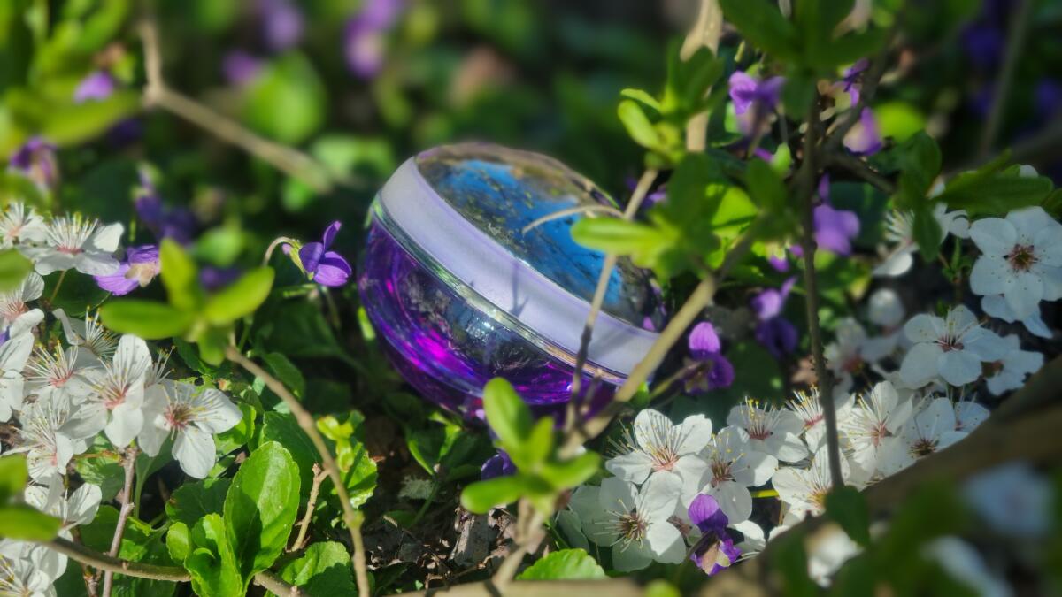 عطر ادکلن اولتراویولت ربان - Ultraviolet Rabanne - بررسی، قیمت و خرید
