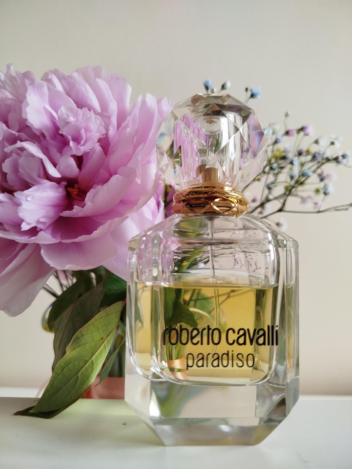 عطر ادکلن پردیسو روبرتو کاوالی - Paradiso Roberto Cavalli - بررسی، قیمت و خرید