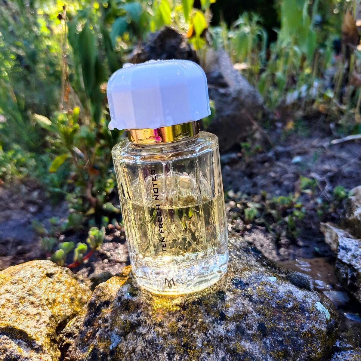 عطر ادکلن تن فرش نوتز رامون مونگال - Ten Fresh Notes Ramon Monegal - بررسی، قیمت و خرید