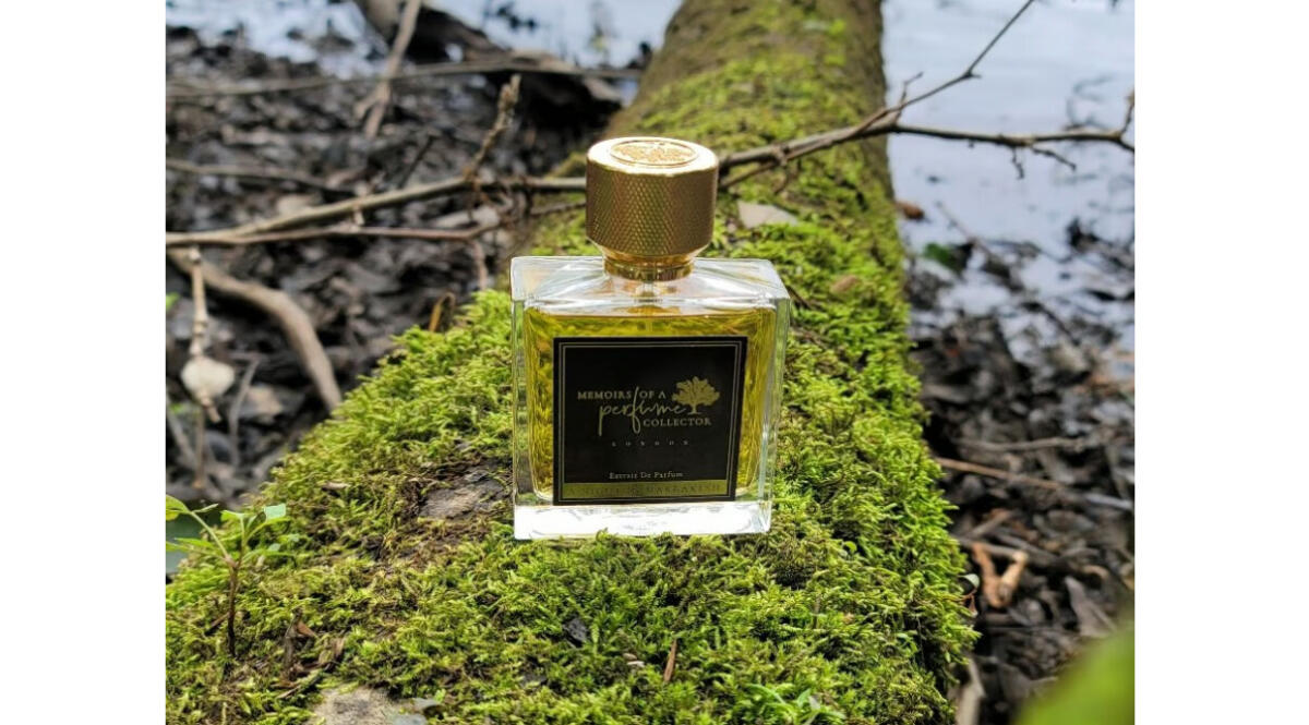 عطر ادکلن ا نایت این مراکش مموآرز آو اِ پرفیوم کالِکتِر - A Night In Marrakesh Memoirs Of A Perfume Collector - بررسی، قیمت و خرید