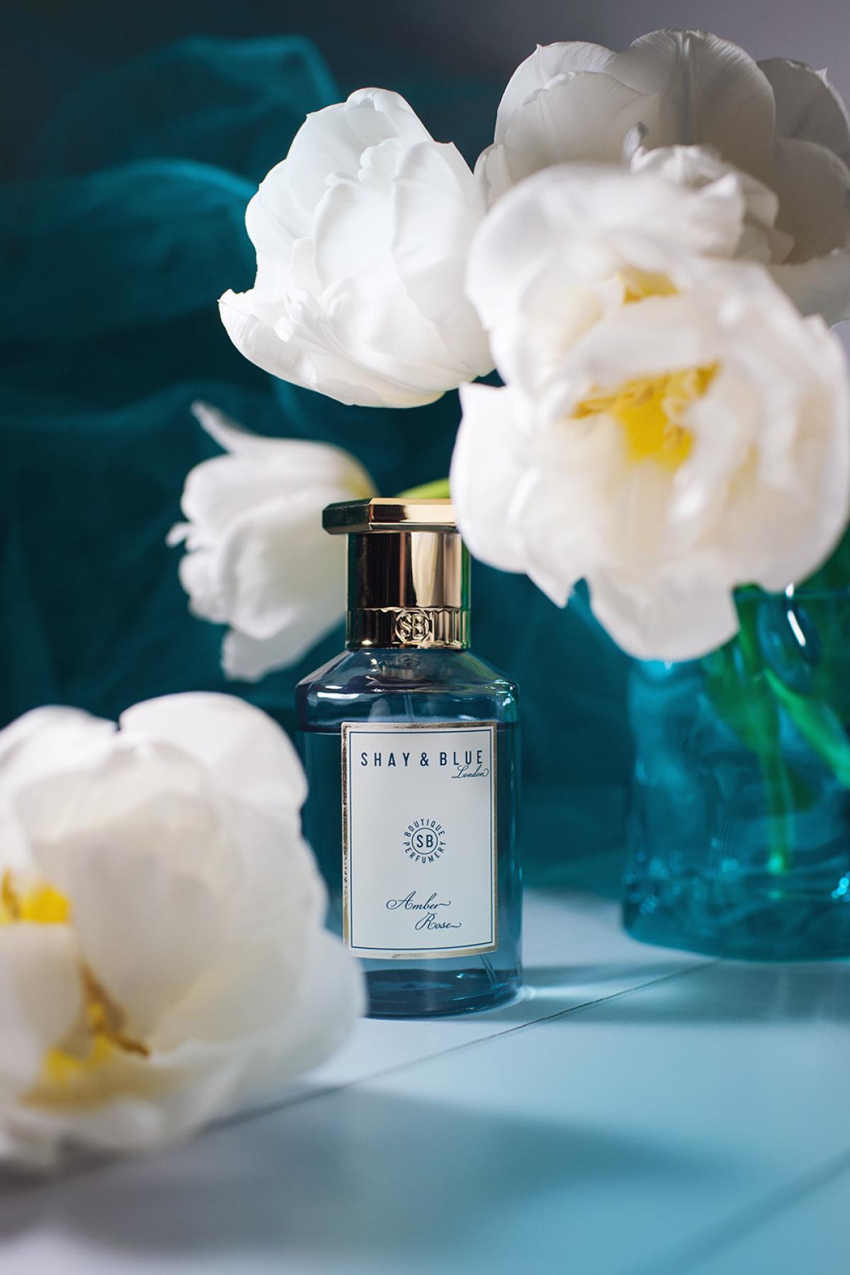 عطر ادکلن امبر رز شِی اَند بلو لاندن - Amber Rose Shay & Blue London - بررسی، قیمت و خرید