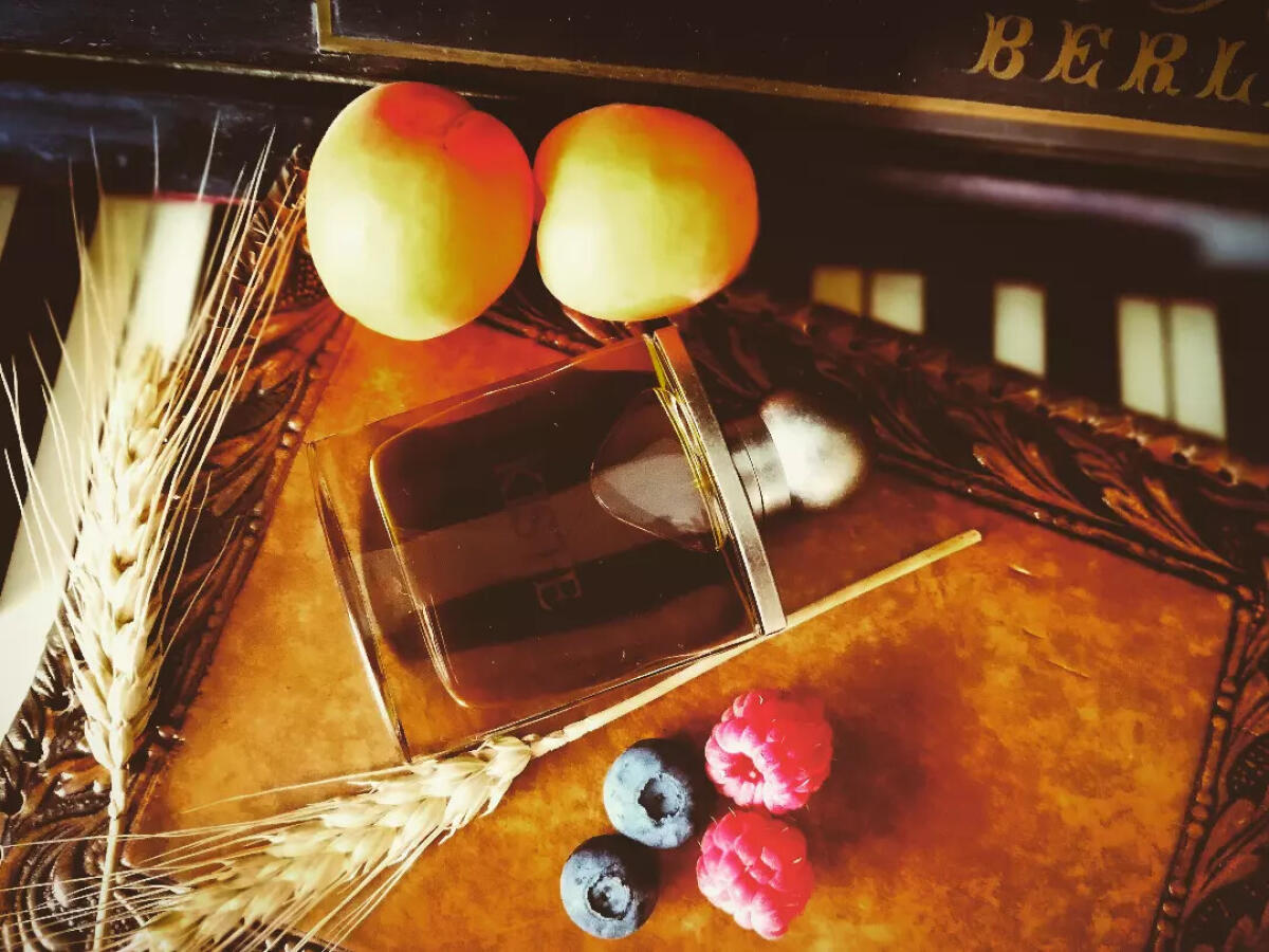 عطر ادکلن کیسته اسلمبرهوس - Kiste Slumberhouse - بررسی، قیمت و خرید