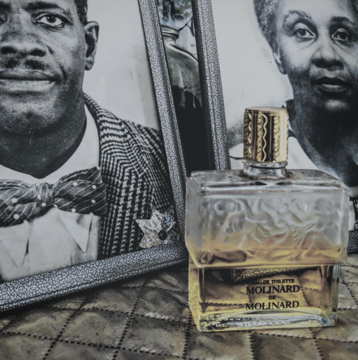 عطر ادکلن مولینارد دو مولینارد مولینارد - Molinard de Molinard Molinard - بررسی، قیمت و خرید