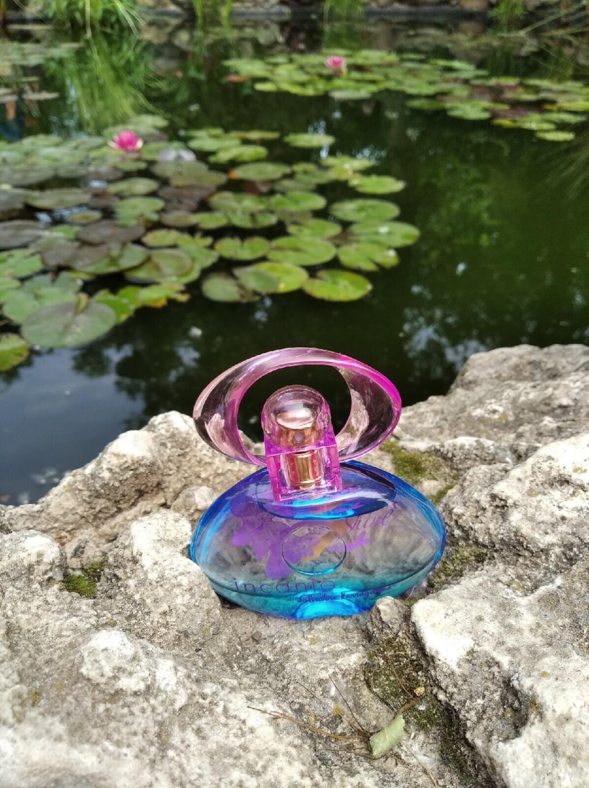 عطر ادکلن اینکانتو شاین سالواتوره فراگامو - Incanto Shine Salvatore Ferragamo - بررسی، قیمت و خرید