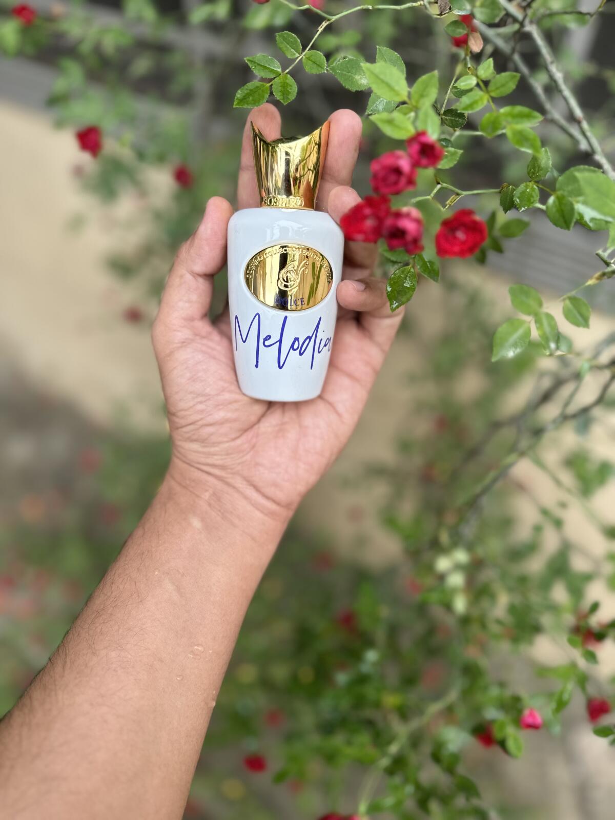 عطر ادکلن دولچه ملودیا سوسپیرو پرفیومز - Dolce Melodia Sospiro Perfumes - بررسی، قیمت و خرید