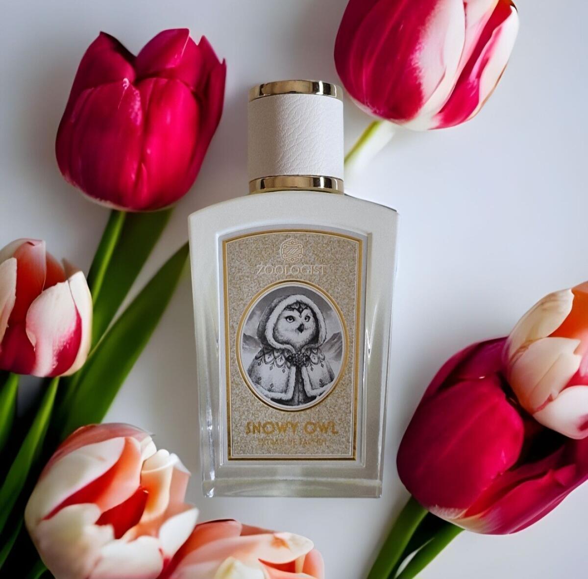 عطر ادکلن اسنوی اوwl زئولوجیست پرفیومز - Snowy Owl Zoologist Perfumes - بررسی، قیمت و خرید