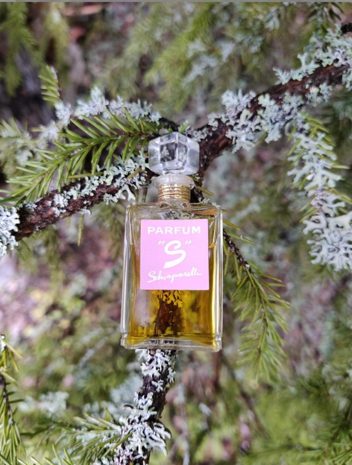 عطر ادکلن اس اسکیاپارلی - S Schiaparelli - بررسی، قیمت و خرید