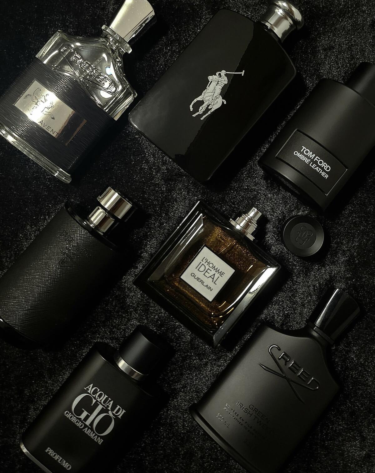 عطر ادکلن پولو بلک رالف لورن - Polo Black Ralph Lauren - بررسی، قیمت و خرید