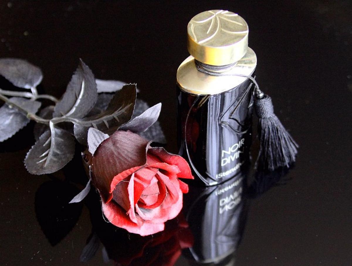 عطر ادکلن نوآر دیوین استندال - Noir Divin Stendhal - بررسی، قیمت و خرید