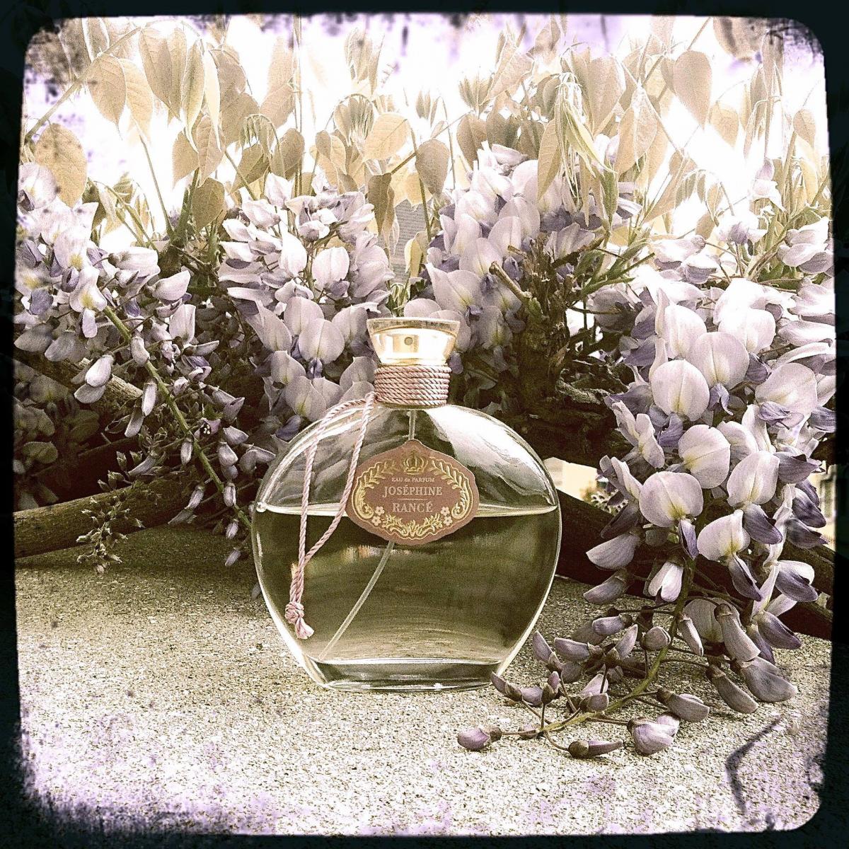 عطر ادکلن جوزفین رانس 1795 - Josephine Rance 1795 - بررسی، قیمت و خرید