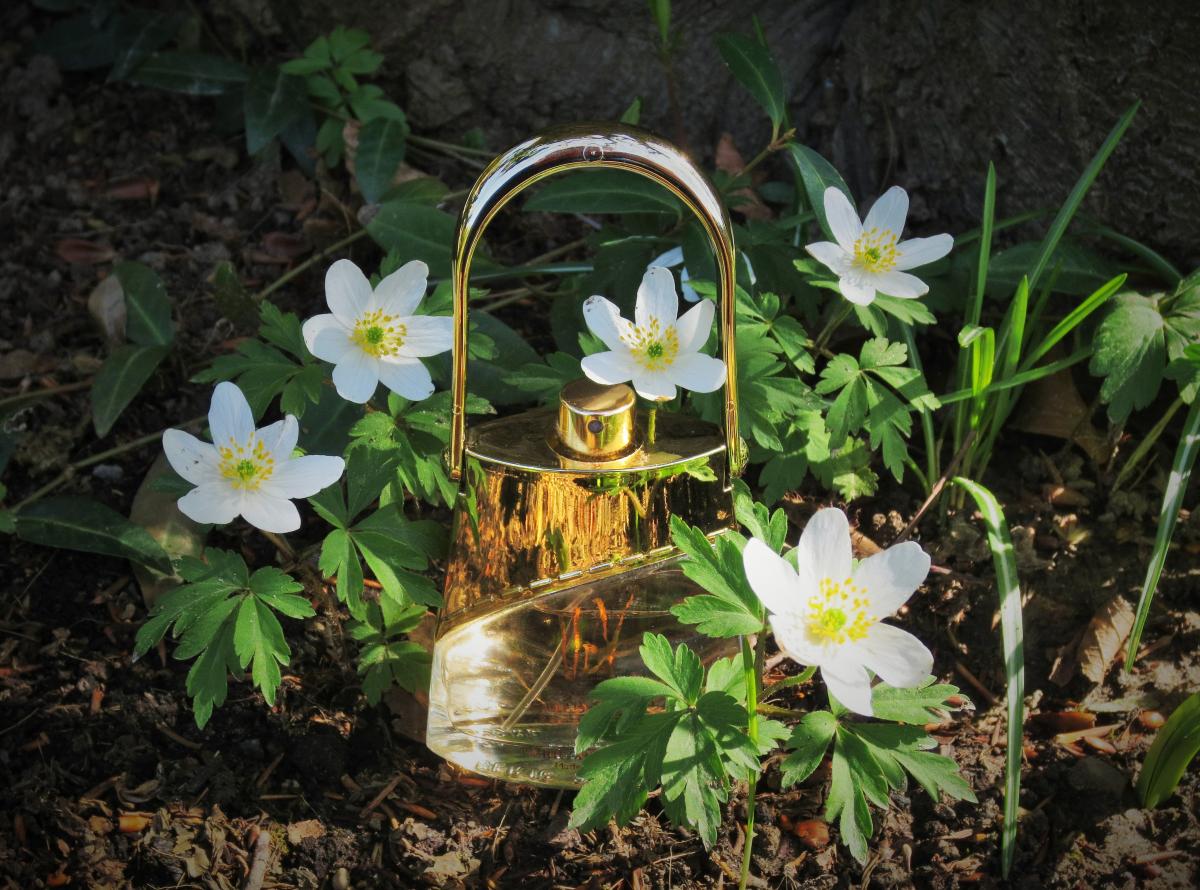 عطر ادکلن گلد ایسی‌م اولریک دو ورنس - Gold Issime Ulric de Varens - بررسی، قیمت و خرید