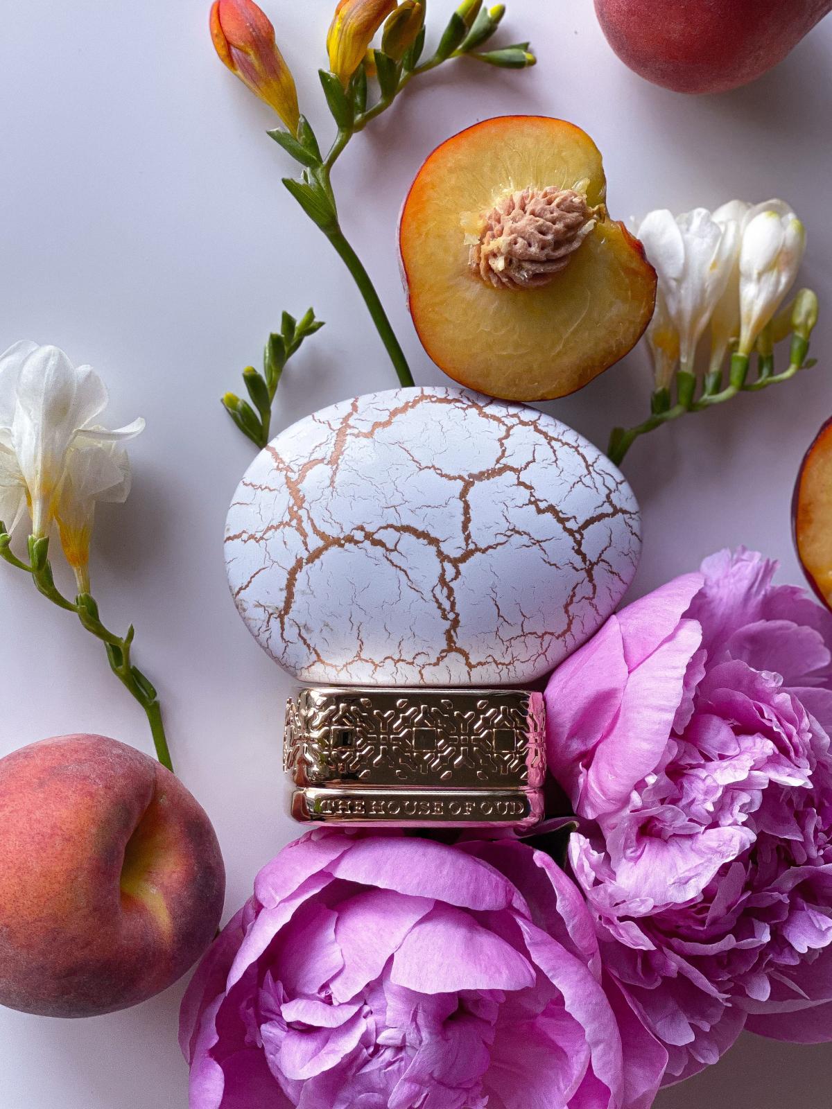 عطر ادکلن بِرِث آو دِ اینفینیت د هاوس آو عود - Breath Of The Infinite The House of Oud - بررسی، قیمت و خرید