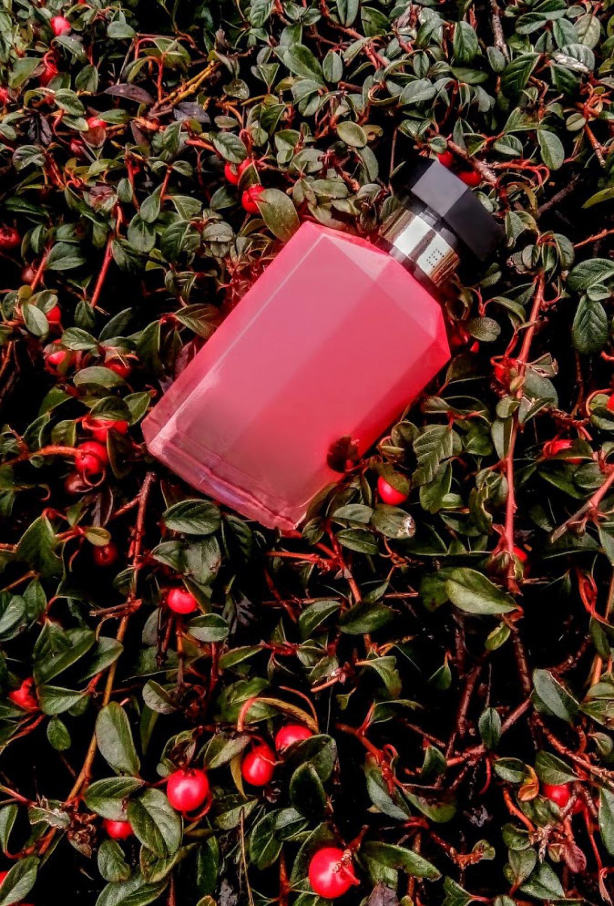 عطر ادکلن استلا پیونی استلا مک‌کارتنی - Stella Peony Stella McCartney - بررسی، قیمت و خرید